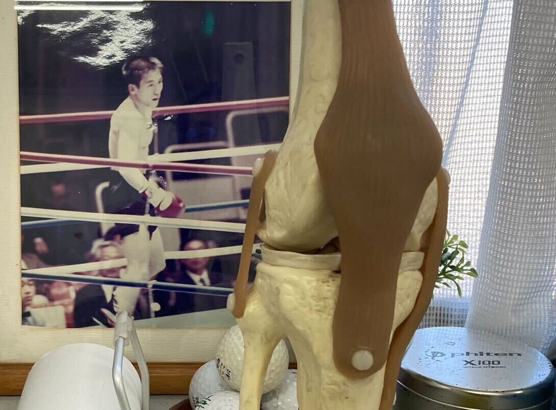 フォトアラカルト